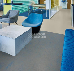 Forbo Marmoleum Decibel on Order 373435 blue shimmer фото 2 | FLOORDEALER